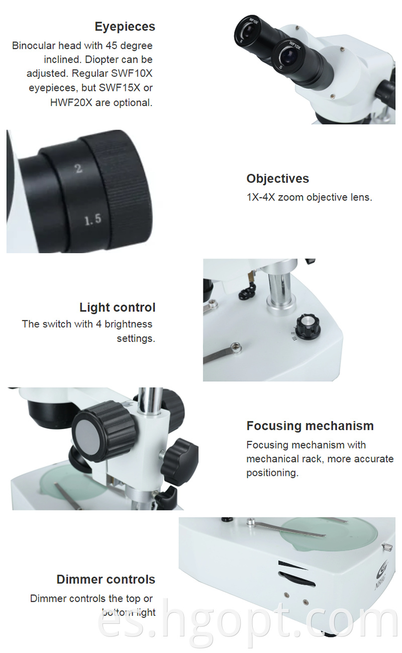 Ztx E Wf10x 20mm Binocular Surgical Professional Binocular Stereo Microscope